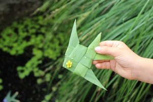 Brocolage nature Corine Trentin
